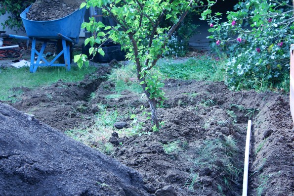 Look at that trench. Gorgeous!