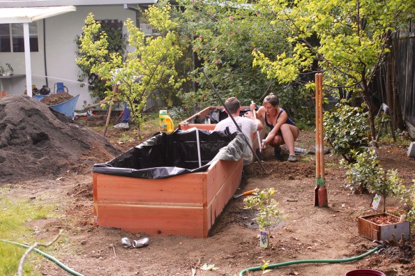 Operation irrigation, part II