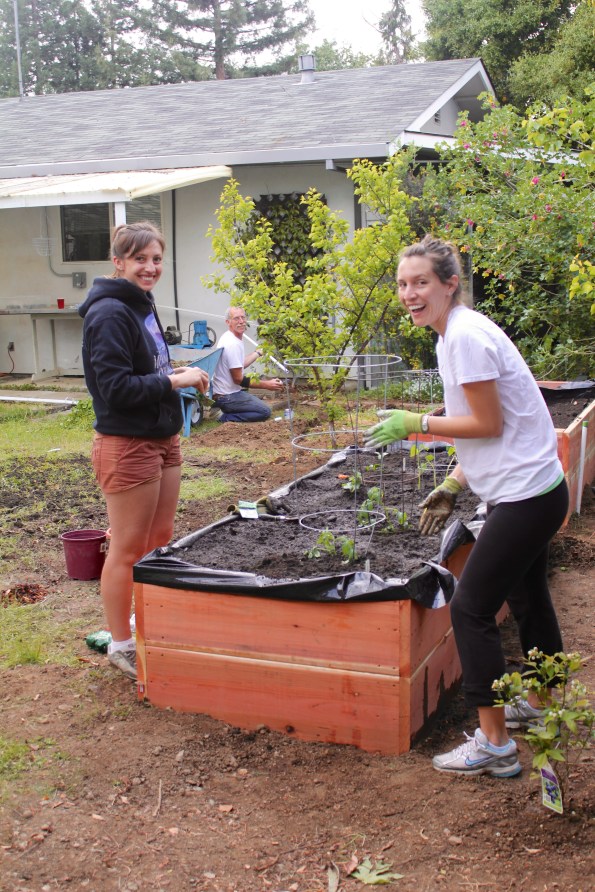 And finally, planting. All this work for these little plants :)