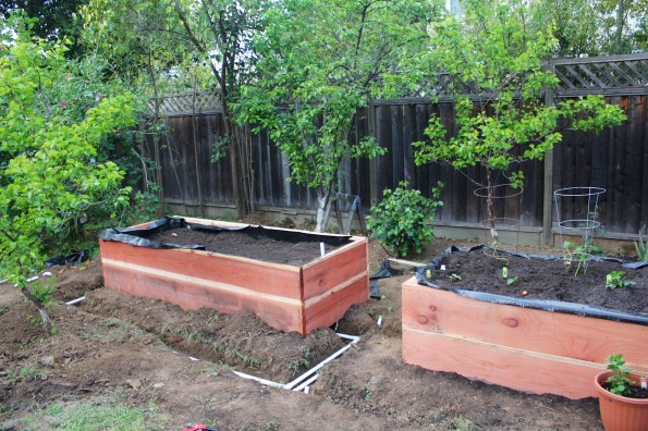 And one more, for good measure!