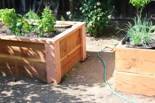 Up close for the beauty shot