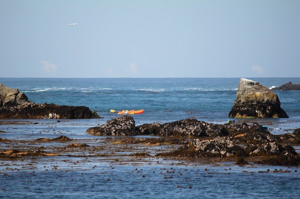 our "view" from the beach. can't really see much until they come in to shore...