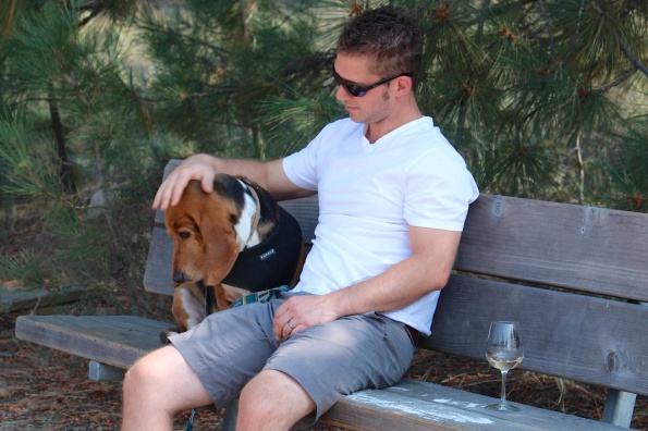 I don't think Dodger was too impressed by the wine and bocce.