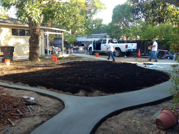 Pretty concrete and more stinky compost