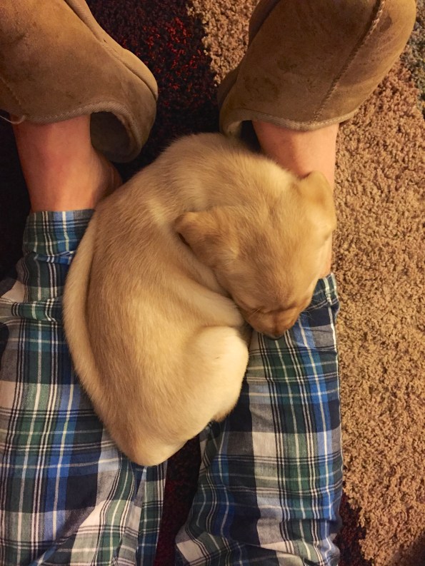 Curled up on Justin's ankles. She does not fit there anymore!